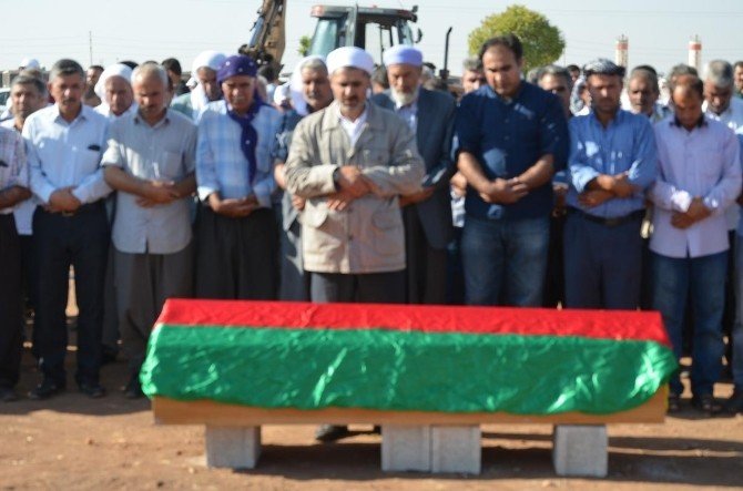 Şanlıurfa Milletvekili Hakkında Soruşturma Açıldı