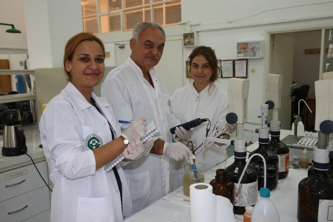 Hazır Su Mu Kullanılmalı, Yoksa Musluk Suyu Mu?