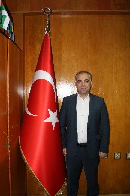 Karadeniz’de Hamsi Bereketi Yaşanırken Palamut Kayboldu