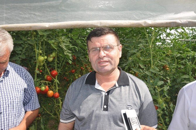 İnegöl’ün Geleceği Meyvecilik