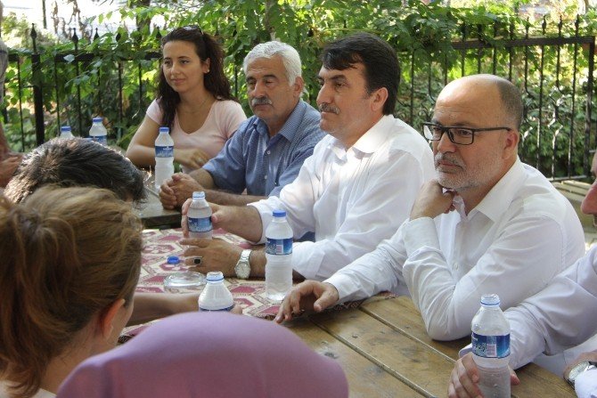 Köylüler Yanan Ormanlara Dikilen Fıstık Çamlarından Para Kazanacak