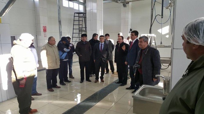 Modernize Edilen Pazaryeri Belediyesi Mezbahanesi Hizmete Girdi