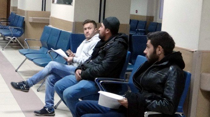 Nevşehir’de Domuz Gribine Rastlanmadı