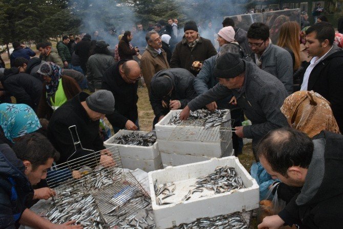Niğde’de 1 Ton Hamsi Dağıtıldı