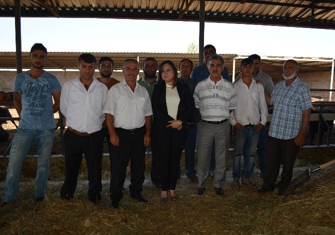 Niğdeli Et Üreticileri Birliği Donmuş Et İstemiyor