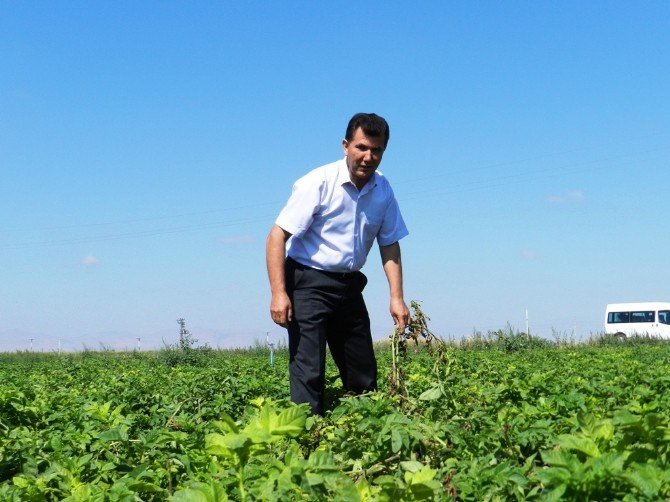 Niğde Ziraat Odası Başkanı Veli Kenar: