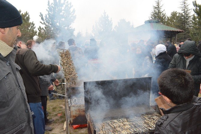 Niğde’de 1 Ton Hamsi Dağıtıldı