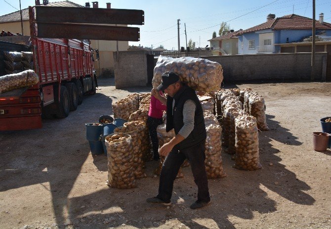 Niğde’de Patatesin Bolluğu Üreticiyi Sevindirmedi