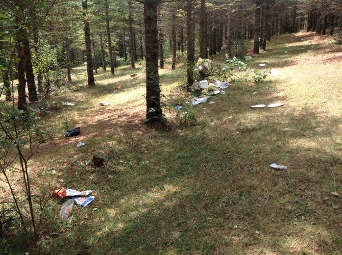 Duyarsız Vatandaş Tabiat Harikası Yaylayı Kirletiyor