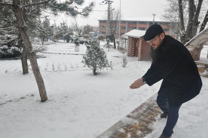Niksar’da Aç Kalan Hayvanlara Yem Bırakıldı