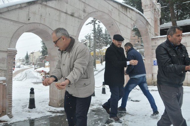 Niksar’da Aç Kalan Hayvanlara Yem Bırakıldı