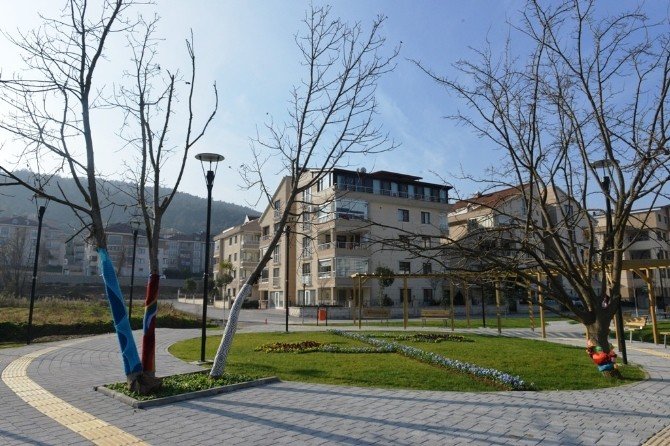 Üniversiteli Ressamlar Ağaçları Giydirdi
