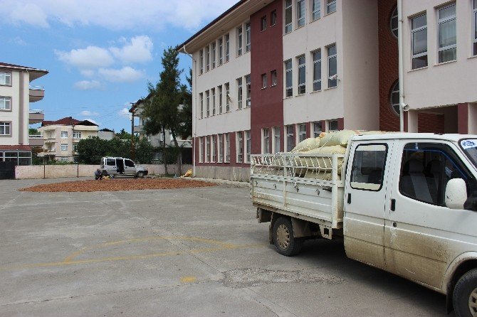 Okul Bahçesi Fındık Harmanı Oldu