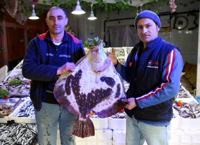 Havalar Isınınca Hamsi Soğuk Sulara Kaçtı
