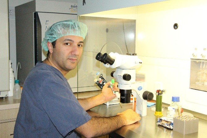 Tüp Bebek İçin Omü’de ‘Icsı’ Ve ‘Imsı’ Yöntemi Uygulanıyor