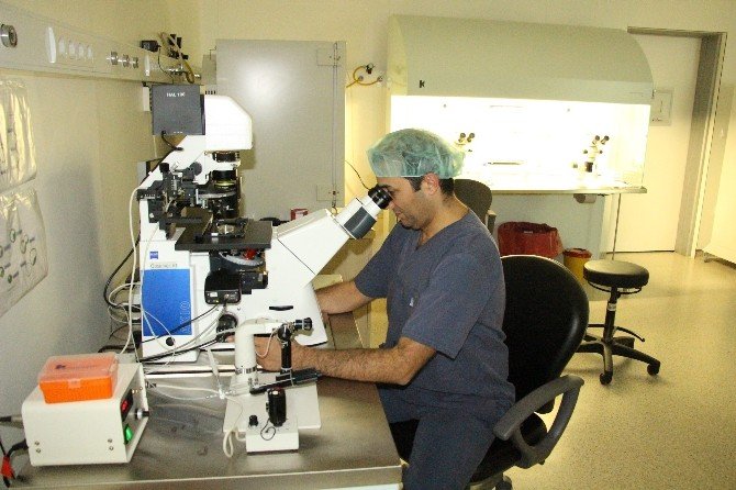 Tüp Bebek İçin Omü’de ‘Icsı’ Ve ‘Imsı’ Yöntemi Uygulanıyor