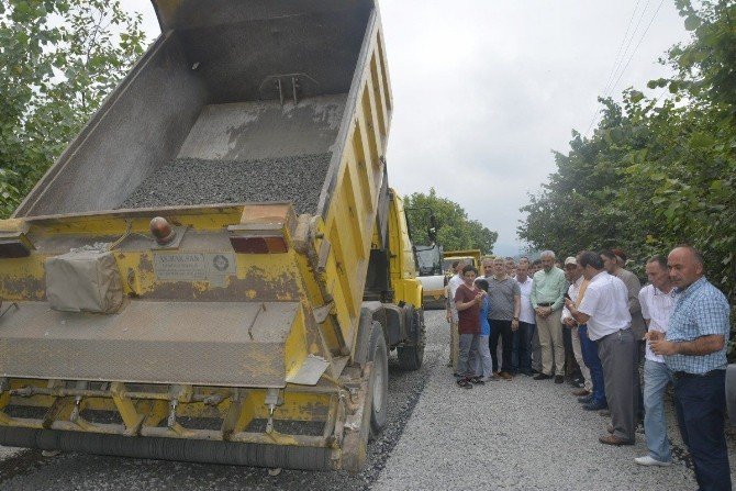 Başkan Yılmaz Fatsa’da Asfalt Çalışmalarını İnceledi
