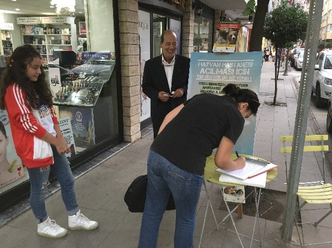 Ordu’da Hayvan Hastanesi İçin İmza Kampanyası
