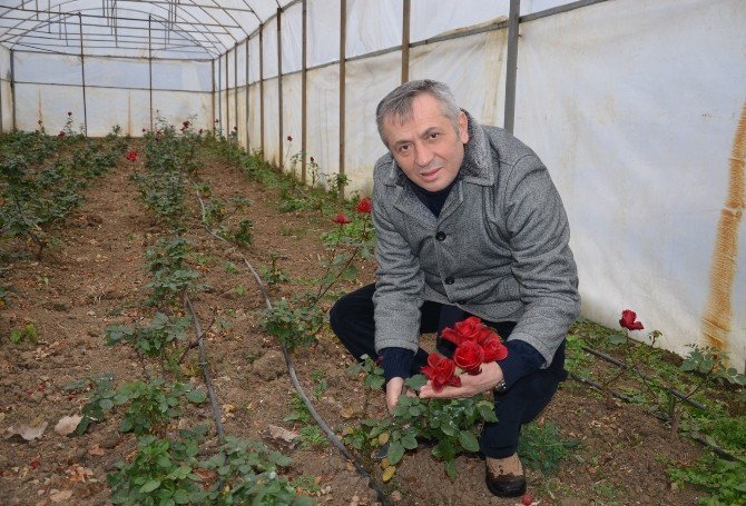 Süs Bitkisi Seralarında Kar Zararı