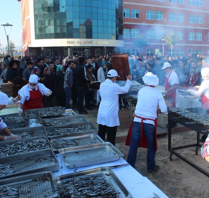 Odü’de Hamsi Şöleni