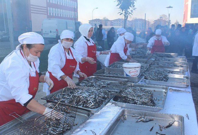 Odü’de Hamsi Şöleni