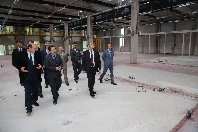Arıcılıkta Büyük Aşama