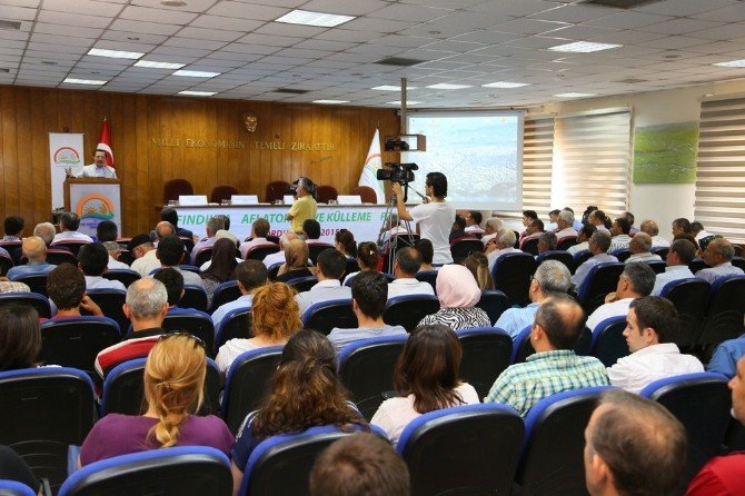Fındıkta Aflatoksin Uyarısı