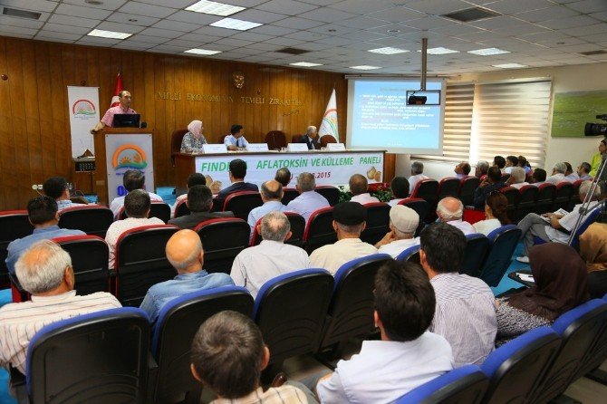 Fındıkta Aflatoksin Uyarısı