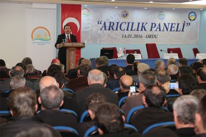 "Bal"da Yeni Hedef Çin