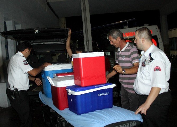 Ordu Organ Bağışında Atakta