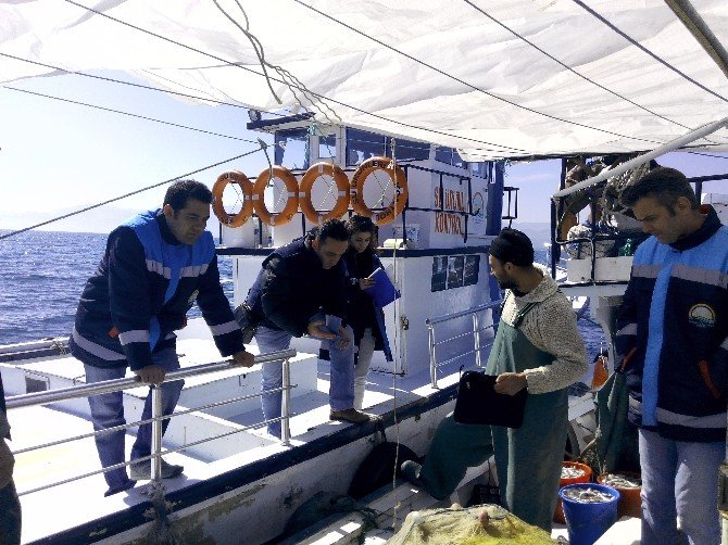 Ordu’da Yasak Balık Avına 26 Bin Lira Ceza