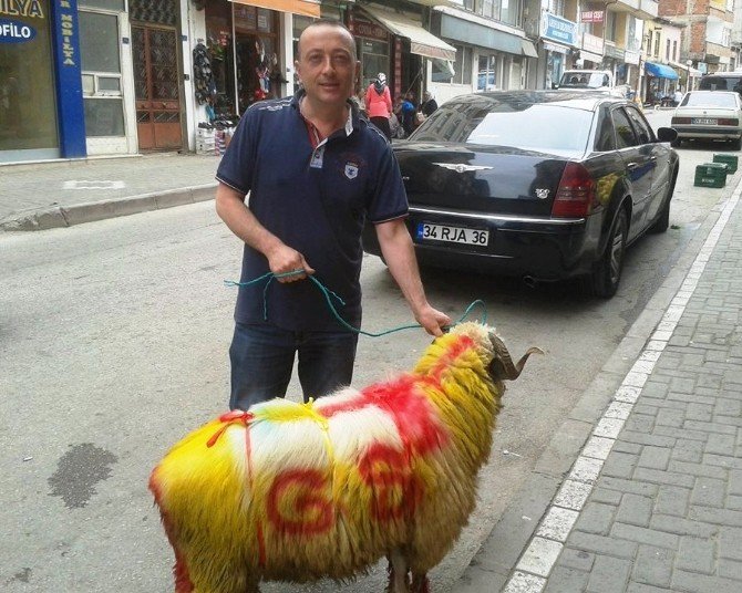 Tuttuğu Takım Şampiyon Olunca Adak Kesti