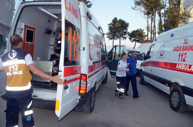 Fındık İşçileri Yedikleri Yemekten Zehirlendi