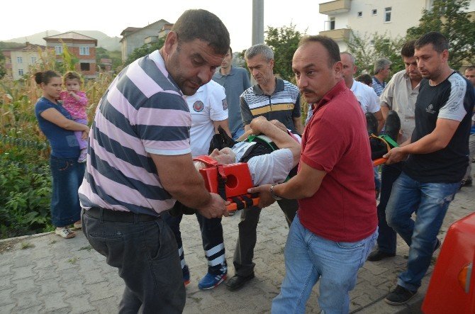 Otomobilin Çarptığı Yaya Yaralandı