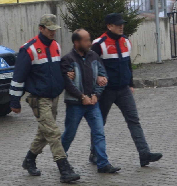 Ordu’da Fındık Hırsızlığı