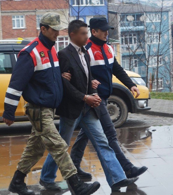 Ordu’da Fındık Hırsızlığı