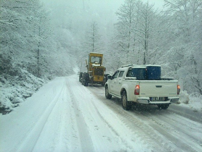 Ordu’nun 11 İlçesi Kar Altında