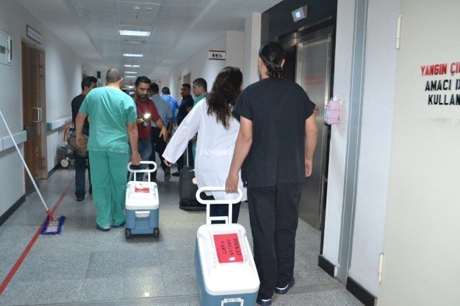 Organları 3 Hastaya Umut Oldu