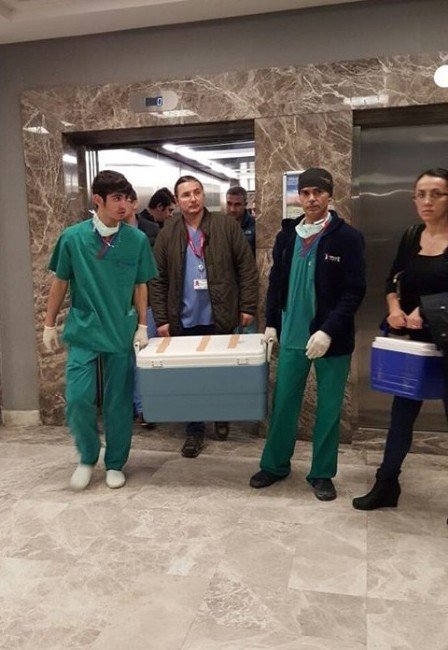 Koca Kurbanı Kadının Organları Başkalarına Hayat Verdi