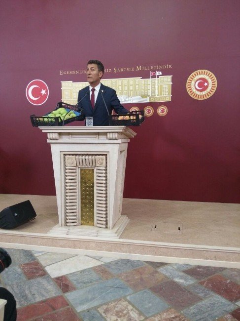 Sarıbal’dan Termik Santral Tepkisi