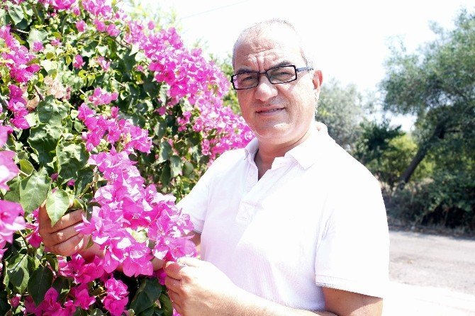 Türkiye, Hollanda’daki Çiçek Krizini Avantaja Çevirecek