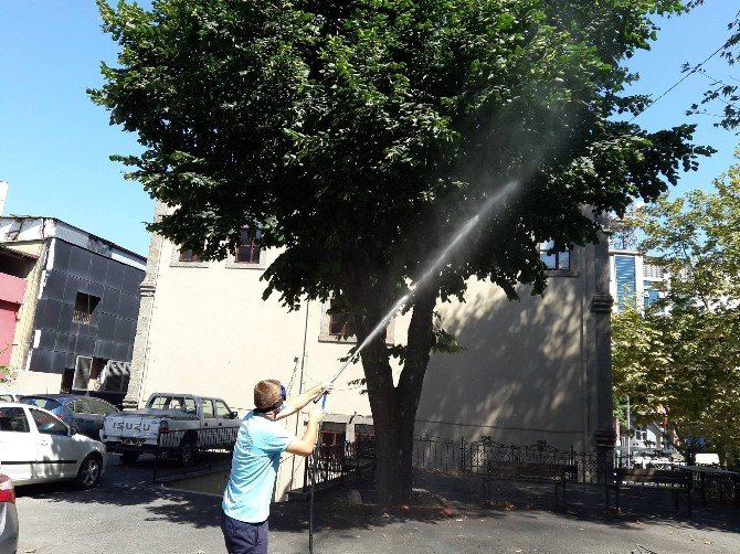 Ortahisar Belediyesi Okulları Yeni Eğitim Yılına Hazırlıyor