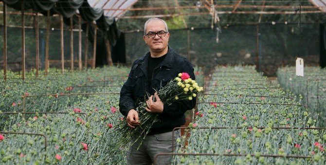 Avrupalı Sevgililere 30 Milyon Dal Türk Çiçeği