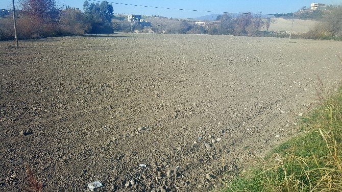 Kuraklık Çiftçiyi Perişan Etti