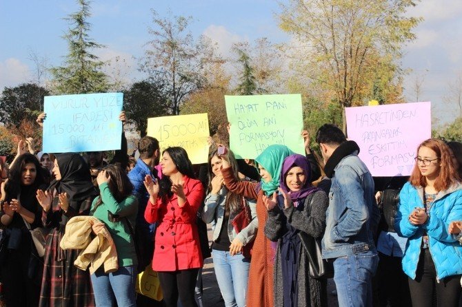 Sakarya Üniversitesinde İki Ayrı Formasyon Eylemi