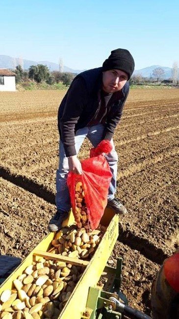 Patateste Üreticinin Umudu Bahara Kaldı