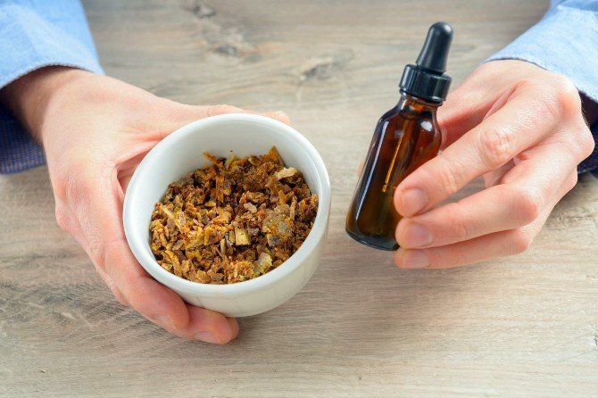 Arıların Doğal Antibiyotiği Propolis