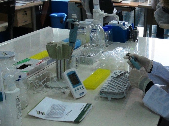 Prostat Kanserinin Önlenmesi İçin Geliştirilen Proje Kabul Edildi