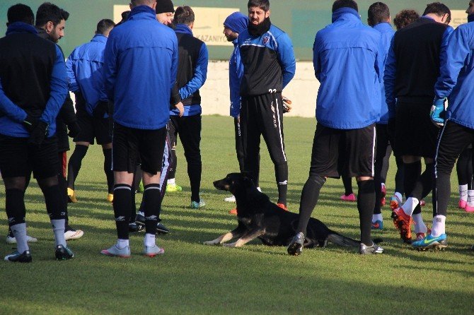 Karabükspor’da Elazığ Mesaisi Başladı