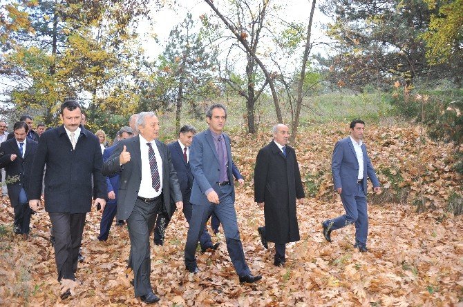 Rektör Özer, Devrek’te İncelemelerde Bulundu